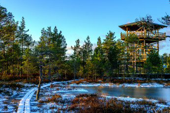 Картинка природа дороги тракт