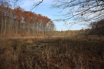 Картинка природа пейзажи простор