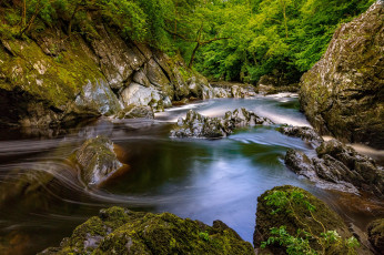 Картинка природа реки озера лес река