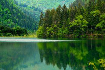 Картинка природа реки озера река лес