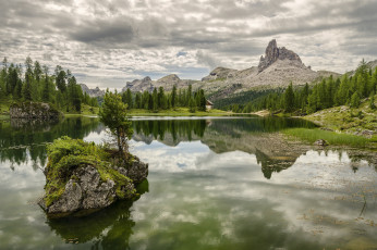 Картинка природа реки озера река лес