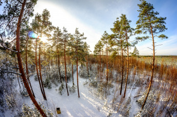 Картинка природа зима снег