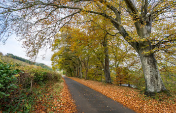 Картинка природа дороги тракт