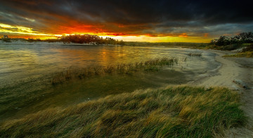 Картинка природа реки озера лес река