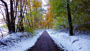 Картинка природа дороги тракт