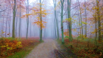 Картинка природа дороги тракт