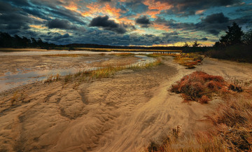 Картинка природа реки озера лес река