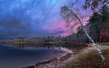 Картинка природа реки озера река лес