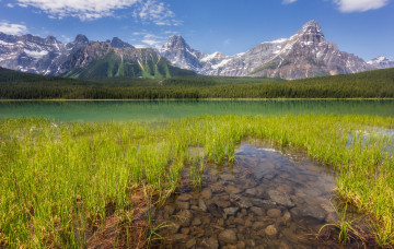 Картинка природа реки озера река лес