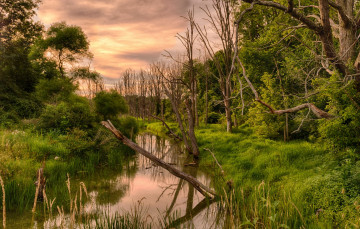 Картинка природа реки озера река лес