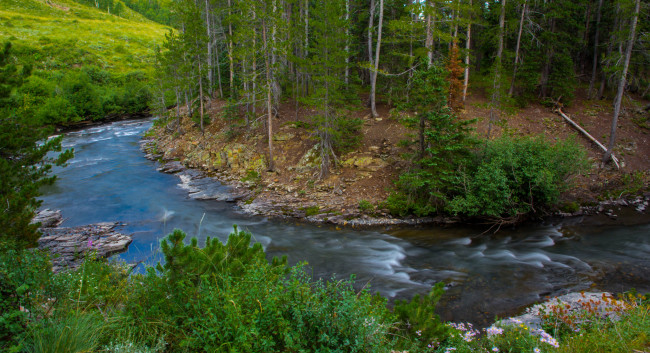 Обои картинки фото природа, реки, озера, река, лес