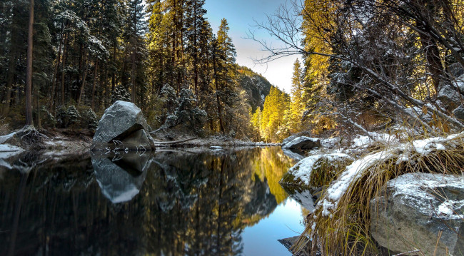 Обои картинки фото природа, реки, озера, лес, река