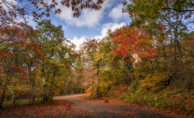 Обои картинки фото природа, дороги, тракт