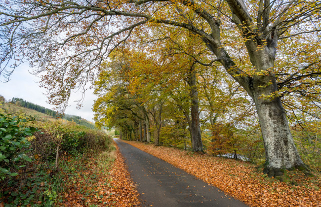 Обои картинки фото природа, дороги, тракт