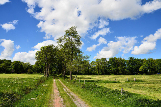 Обои картинки фото природа, дороги, тракт