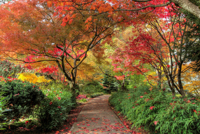 Обои картинки фото природа, дороги, тракт