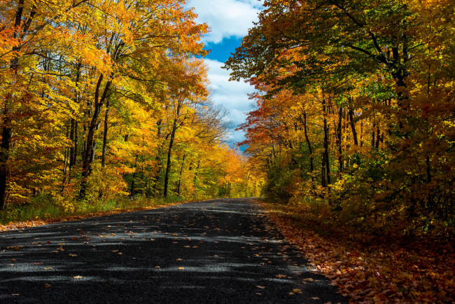 Обои картинки фото природа, дороги, тракт