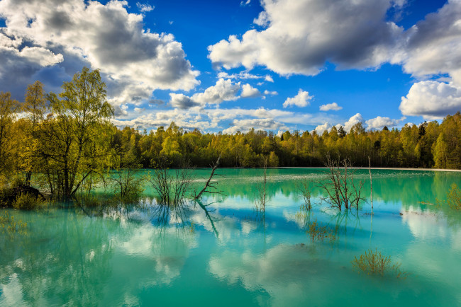 Обои картинки фото природа, реки, озера, река, лес