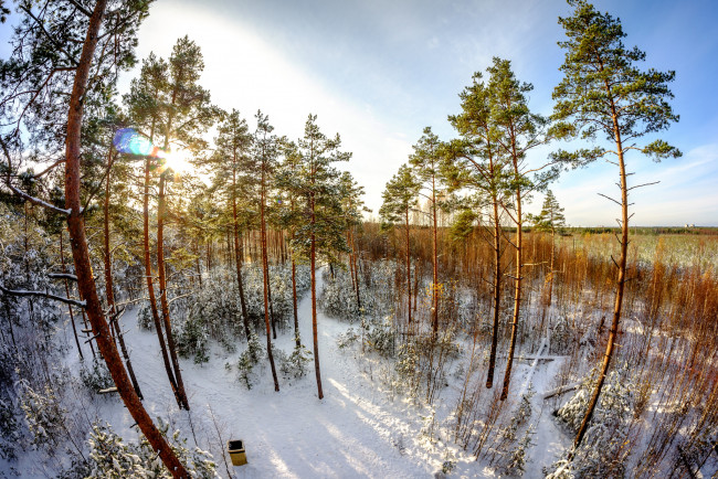 Обои картинки фото природа, зима, снег