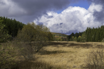 Картинка природа пейзажи простор