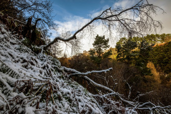 Картинка природа пейзажи простор