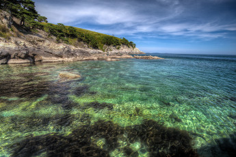 Картинка природа побережье простор