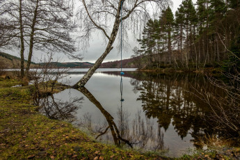 Картинка природа реки озера простор