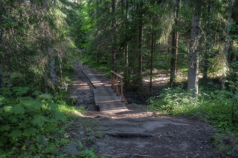 Картинка природа дороги простор