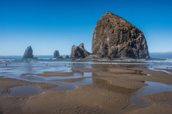 Картинка природа побережье простор