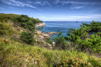 Картинка природа побережье простор