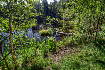 Картинка природа реки озера простор