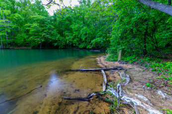 Картинка природа реки озера простор