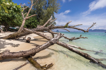 Картинка природа побережье простор