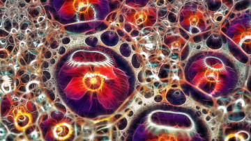 Картинка 3д+графика фракталы+ fractal линии фрактал узор