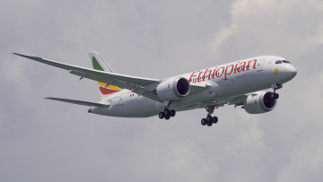 Картинка b787-9+dreamliner авиация пассажирские+самолёты авиалайнер