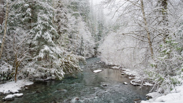 Картинка природа зима простор