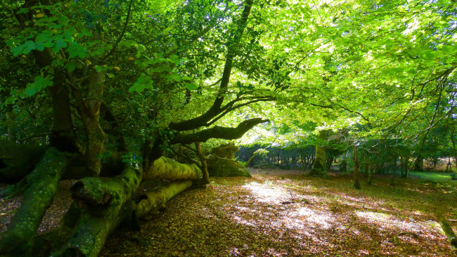 Обои картинки фото природа, реки, озера, простор