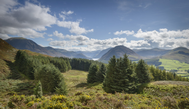 Обои картинки фото природа, пейзажи, простор