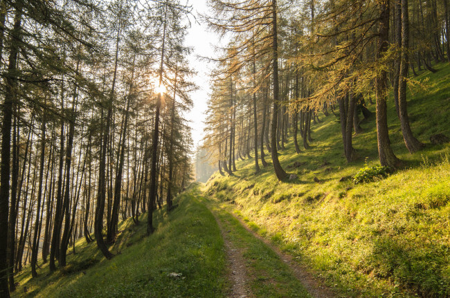 Обои картинки фото природа, дороги, простор