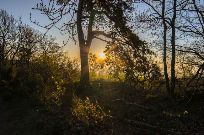 Обои картинки фото природа, восходы, закаты, простор