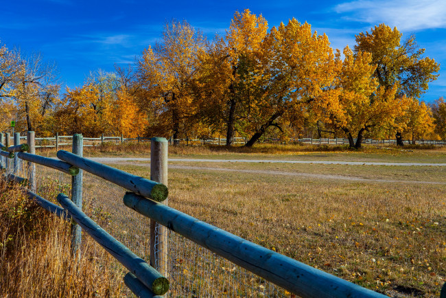 Обои картинки фото природа, пейзажи, простор