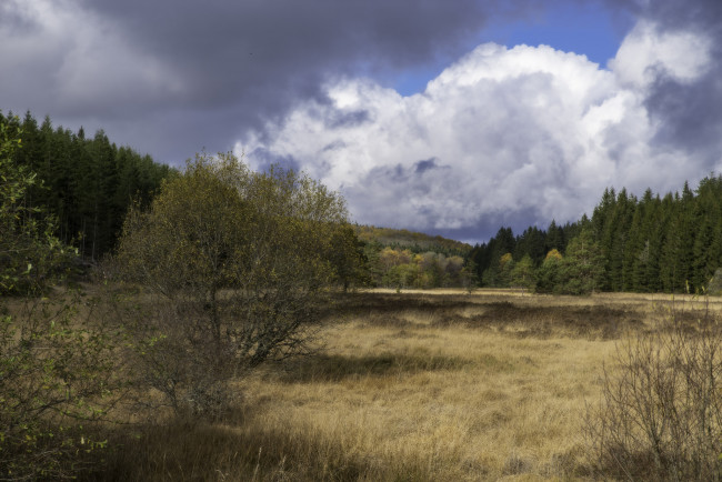 Обои картинки фото природа, пейзажи, простор