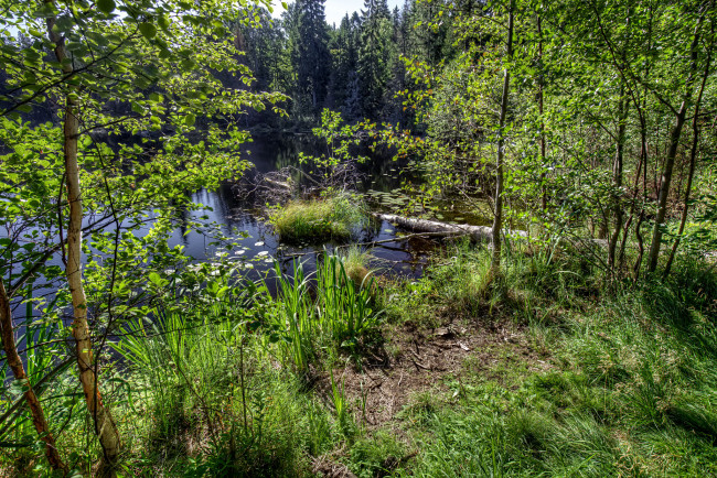 Обои картинки фото природа, реки, озера, простор