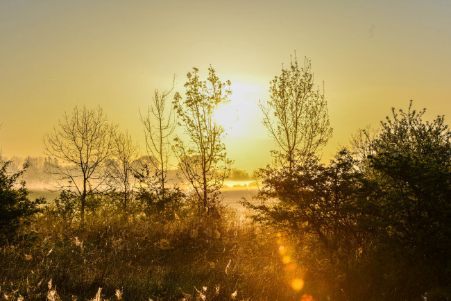 Обои картинки фото природа, восходы, закаты, простор