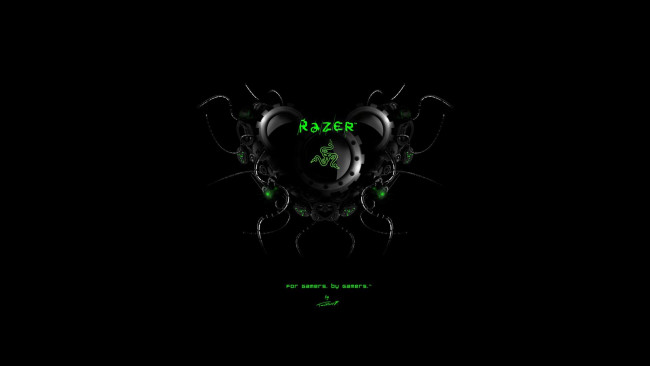 Обои картинки фото компьютеры, razer, логотип, фон