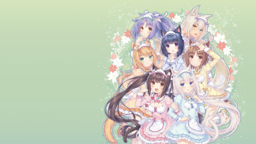 Картинка аниме nekopara девушки