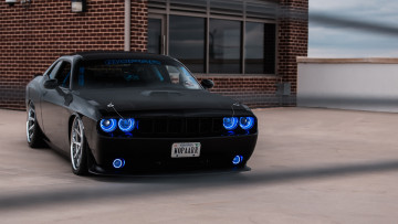 Картинка автомобили dodge challenger