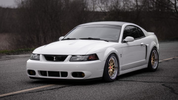 Картинка автомобили mustang ford shelby cobra