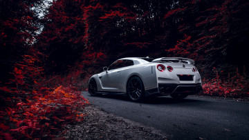 Картинка автомобили nissan datsun gt-r