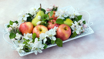 Картинка еда фрукты +ягоды яблоки груши